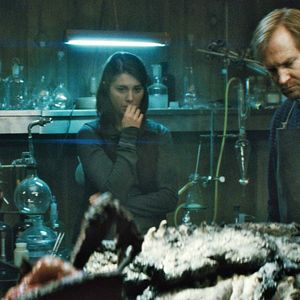 Photo Matthijs van Heijningen Jr.