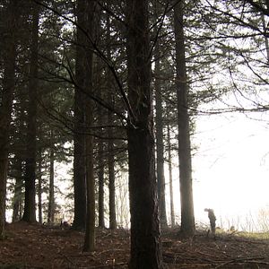 Photo Chasse à l'homme