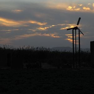 Photo La Pépinière du désert