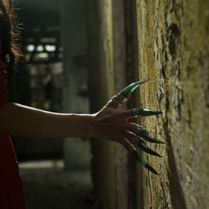 Photo Laurent Courtiaud