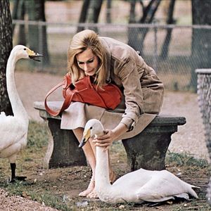Photo Brewster McCloud