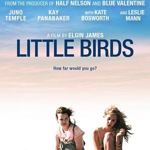 Photo Little Birds