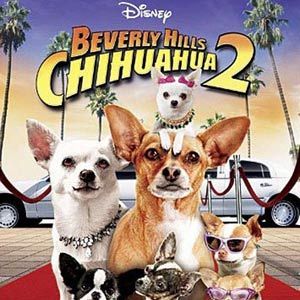 Photo Le Chihuahua de Beverly Hills 2
