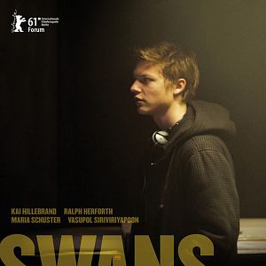 Photo Swans