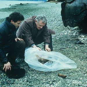 Photo Twin Peaks