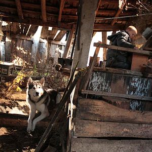 Photo Sibir. Monamour