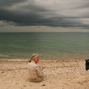 Photo Jane Goodall : retour à Gombe