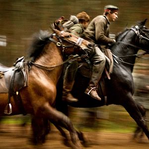 Photo Cheval de guerre