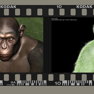 Photo La Planète des singes : les origines