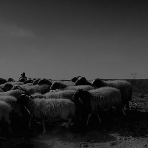 Photo Black Blood