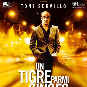 Photo Un tigre parmi les singes