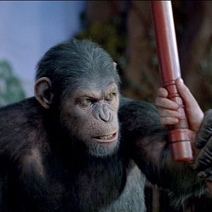 Photo La Planète des singes : les origines