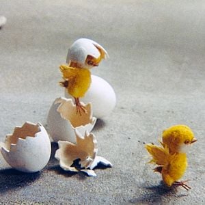 Photo Le Vilain petit canard