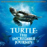 Photo Turtle: The Incredible Journey
