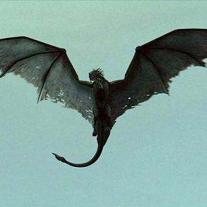 Photo Dragon Dynasty