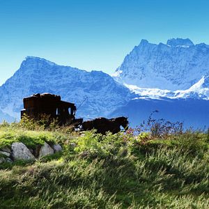 Photo Sommer der Gaukler