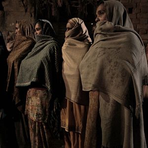 Photo Alms of the Blind Horse