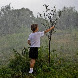 Photo La Terre outragée