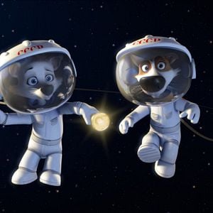 Photo Space Dogs
