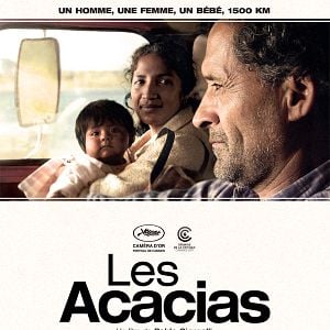 Photo Les Acacias