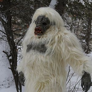Photo Snow Beast