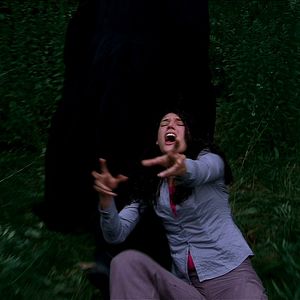 Photo Don't Go in the Woods