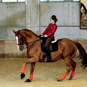 Photo Sport de filles