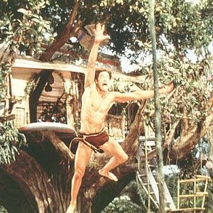 Photo Brendan Fraser