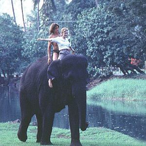 Photo George de la jungle