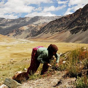 Photo Himalaya, terre des femmes