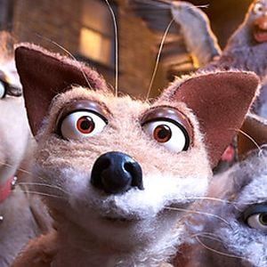 Photo Mongrels