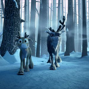 Photo Niko le petit Renne 2