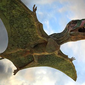 Photo Ptérodactyles 3D : Dans le ciel des dinosaures