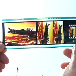Photo Side by Side