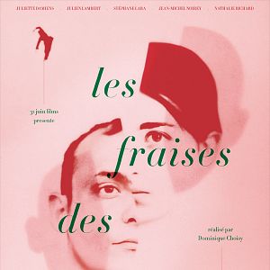 Photo Les Fraises des bois