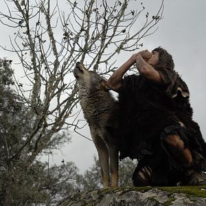Photo L'Enfant loup