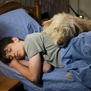 Photo Zachary Gordon
