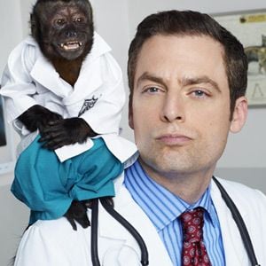 Photo Animal Practice