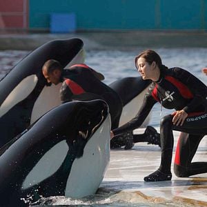 Photo De rouille et d'os