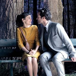 Photo L'Ecume des jours