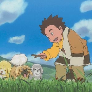 Photo Le Chien du Tibet