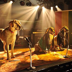 Photo Le Chihuahua de Beverly Hills 3 : Viva La Fiesta !