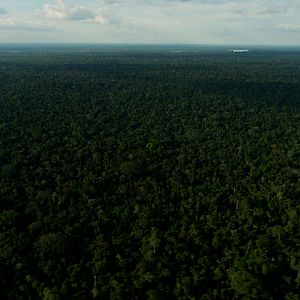 Photo Ecuador une politique au-delà de l'utopie