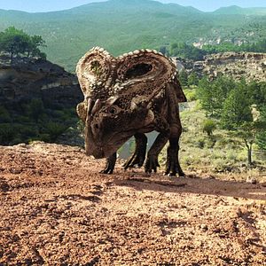 Photo Dinotasia