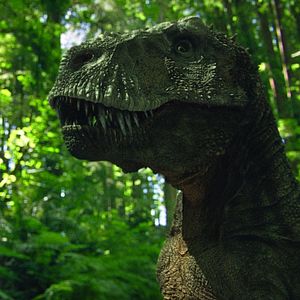 Photo Dinotasia