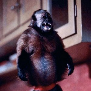 Photo Incidents de parcours