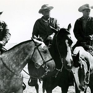 Photo Brandon De Wilde