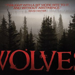 Photo Wolves