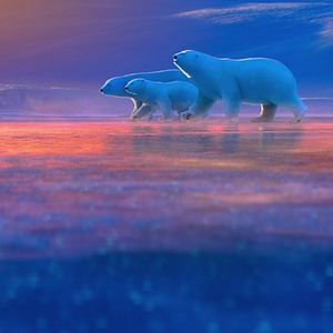 Photo John Stevenson