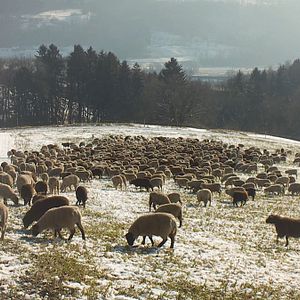 Photo Hiver nomade